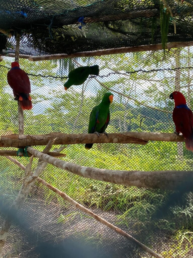 Img 20250120 Wa0035